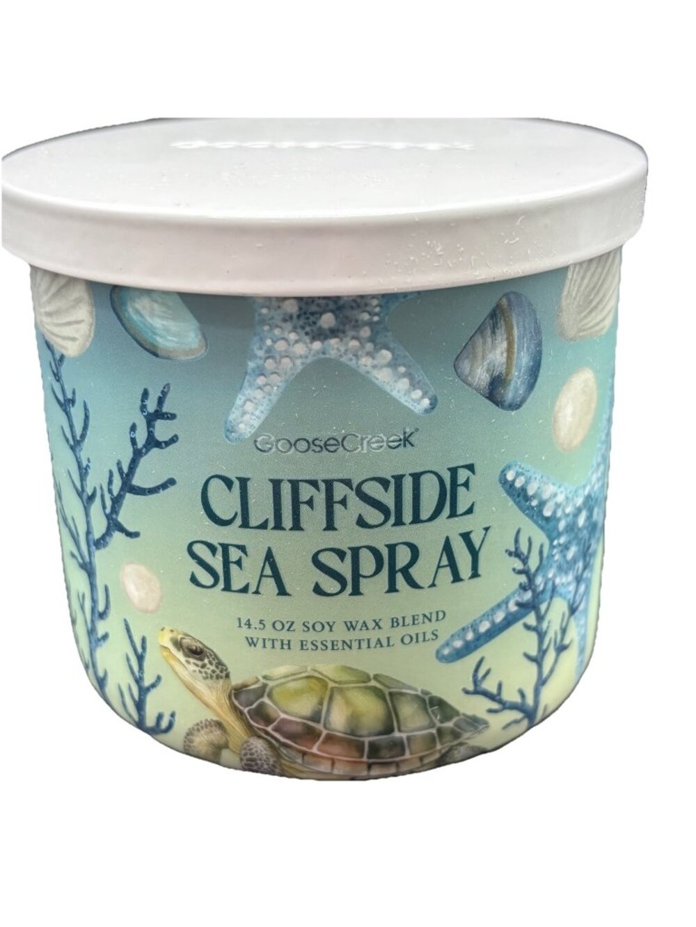 Goose Creek Cliff Side Sea Spray 3 Wick Jar Candle 14.5 oz Slat Water Ocean Air - Picture 1 of 15